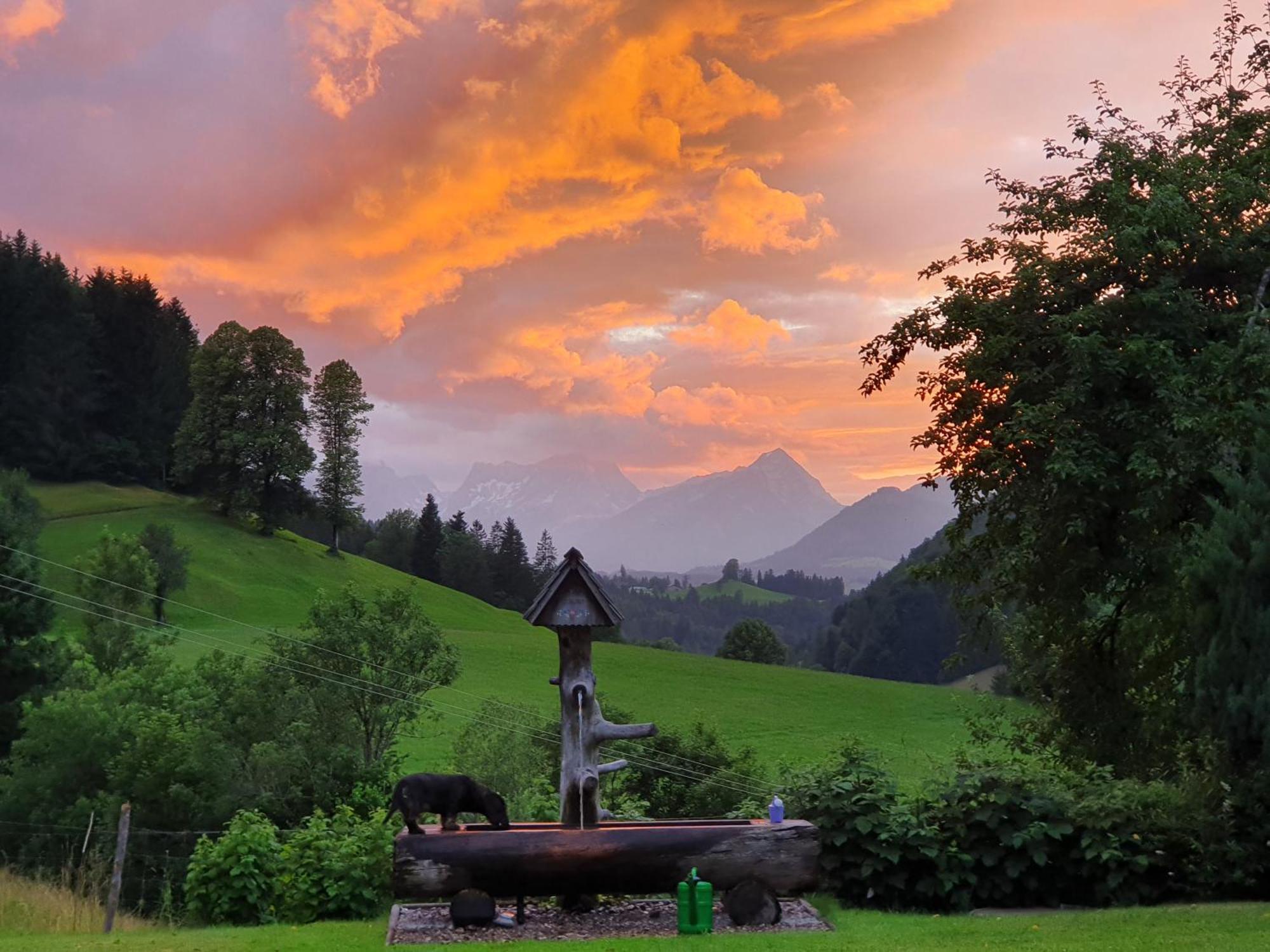 Biobauernhof Schoettelbauer Rosenau am Hengstpass Exteriör bild
