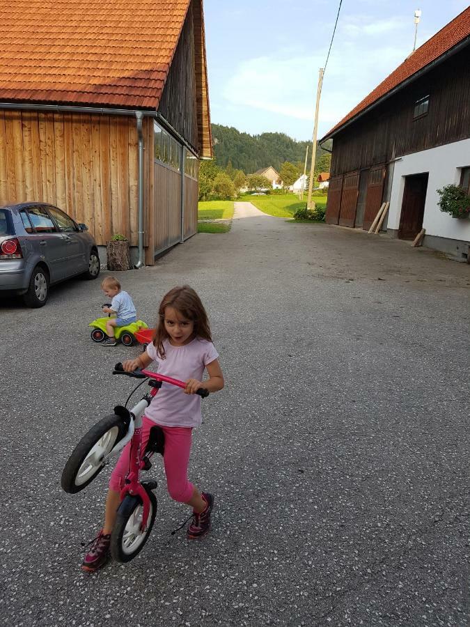 Biobauernhof Schoettelbauer Rosenau am Hengstpass Exteriör bild